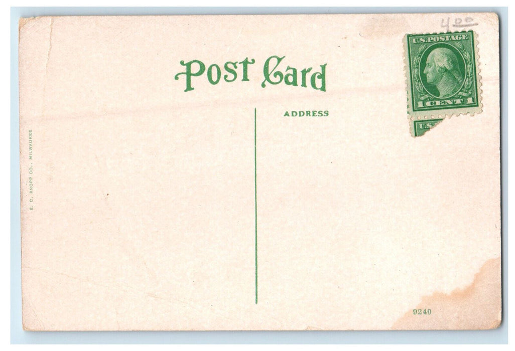 c1920s Nachusa Tavern, Dixon Illinois IL Unposted Antique Postcard
