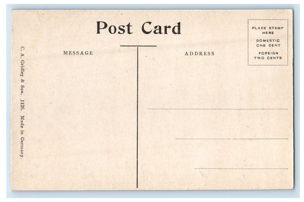 c1910 Peterson Lodge Mount Holyoke College So. Hadley Massachusetts MA Postcard