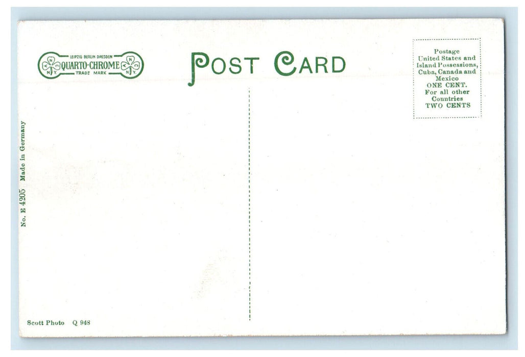 c1910 Picnic, Mt. Sugarloaf, South Deerfield Massachusetts MA Postcard