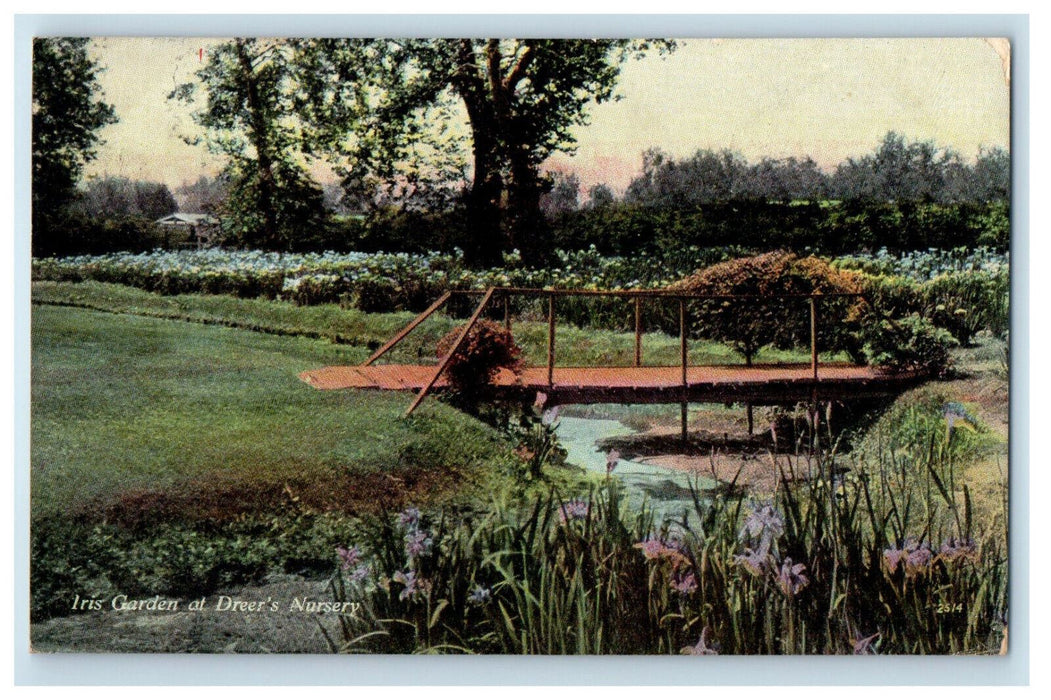 1910 Iris Garden at Dreer's Nursery Posted Henry A Dreer Advertising Postcard