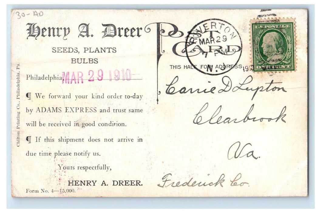 1910 Iris Garden at Dreer's Nursery Posted Henry A Dreer Advertising Postcard