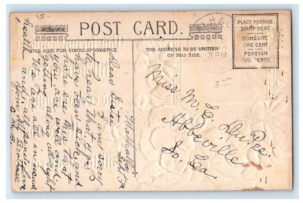 c1910's Cute Cat Red Flowers Winsch Back Embossed Posted Antique Postcard