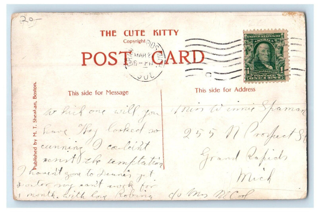 1908 Five Sisters Cats Kittens Studio Portrait Grand Rapids Michigan MI Postcard