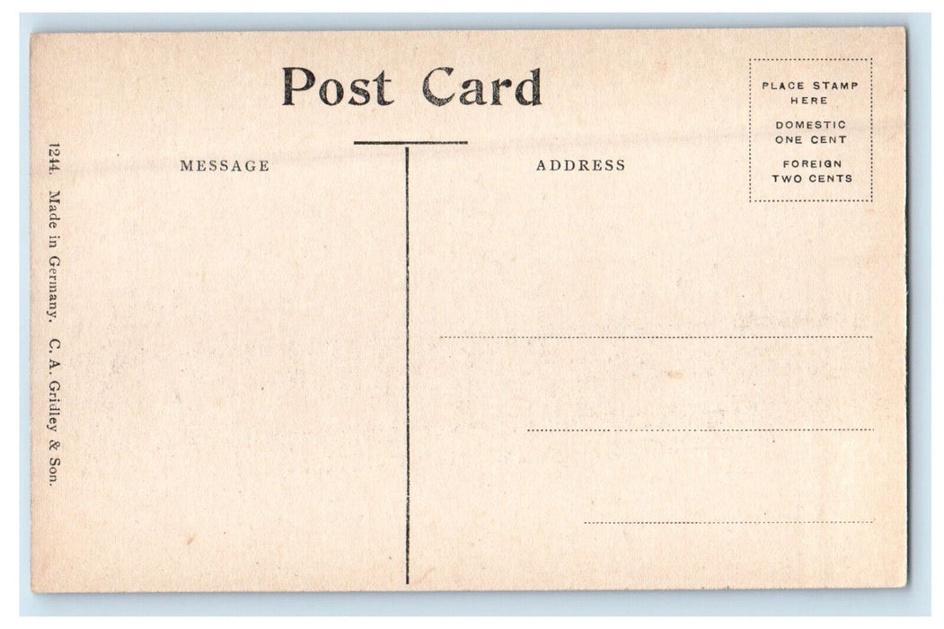 c1910 Skinner Hall Mount Holyoke College So. Hadley Massachusetts MA Postcard