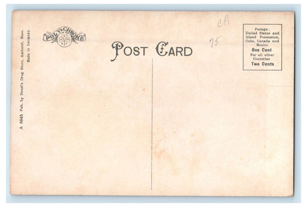 c1910 Roaring Brook Cascade and Mount Toby, Sunderland Massachusetts MA Postcard