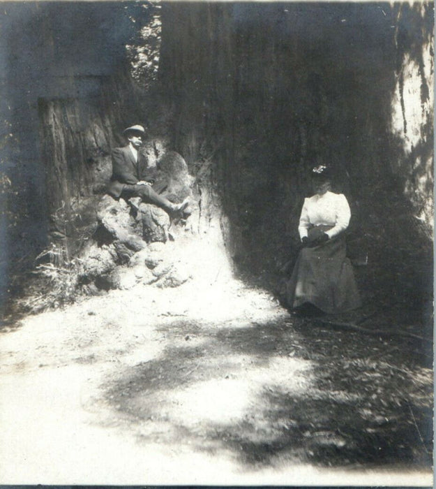 c1905 Victorian Couple Sequoia Redwood Trees California CA RPPC Photo Postcard