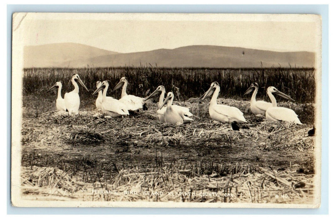 1923 Pelicans Bird Island Klamath Oregon OR Kodak Oregon RPPC Photo Postcard