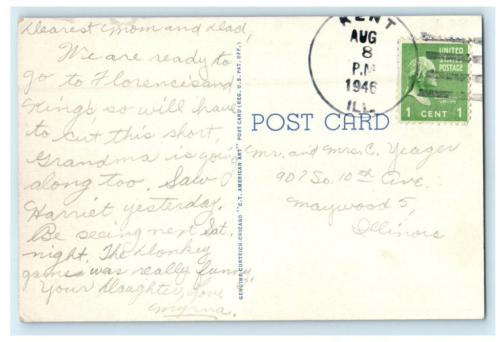 1946 Waterfall at Night, Krape Park, Freeport Illinois IL Antique Postcard