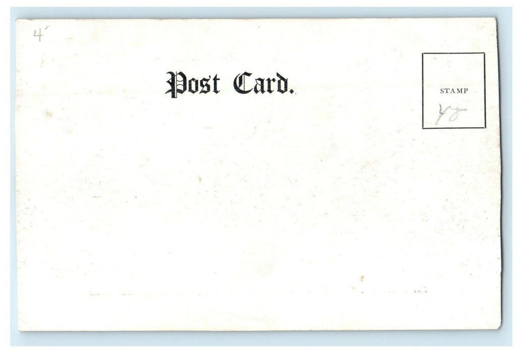 1905 The Brockton Dahlia Farm, East Bridgewater Massachusetts MA Postcard