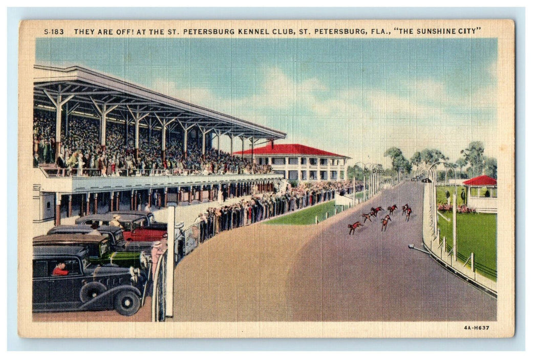 c1940s St. Petersburg Kennel Club, St. Petersburg, Florida FL Unposted Postcard