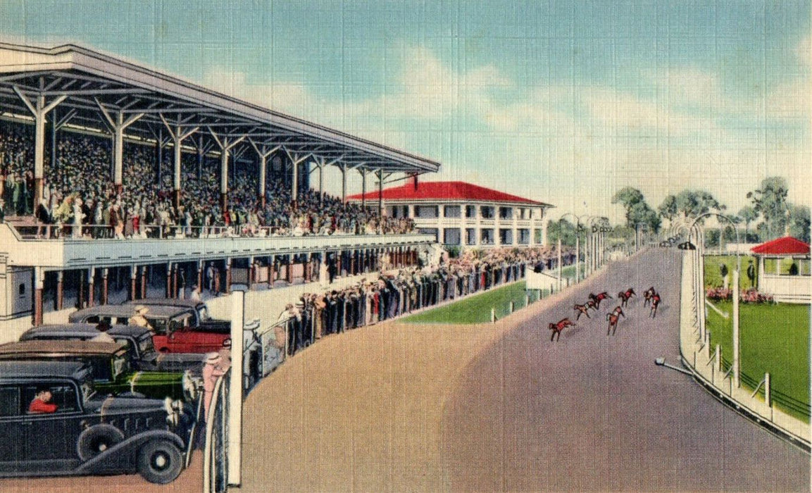c1940s St. Petersburg Kennel Club, St. Petersburg, Florida FL Unposted Postcard
