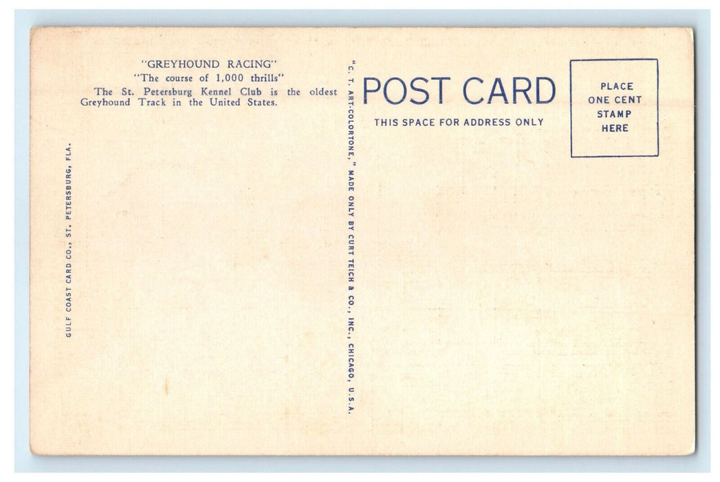 c1940s St. Petersburg Kennel Club, St. Petersburg, Florida FL Unposted Postcard