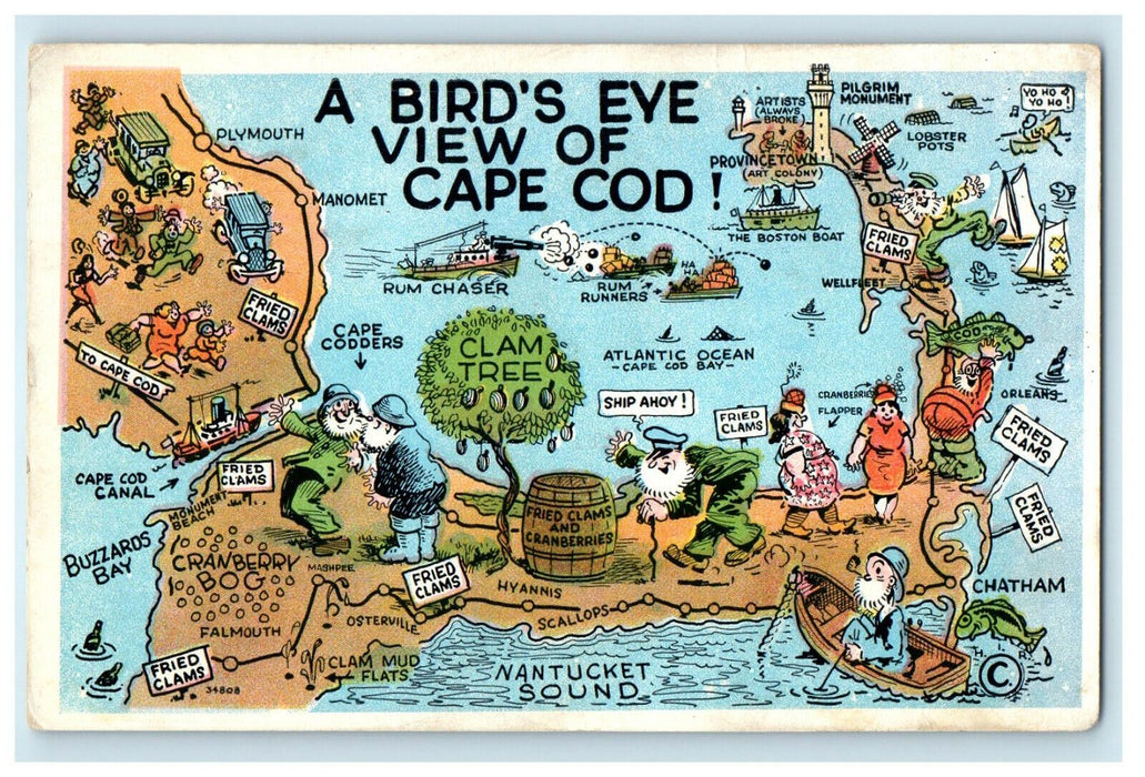 1931 A Bird's Eye View of Cape Cod, Massachusetts MA Posted Vintage Postcard