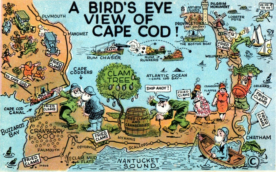 1931 A Bird's Eye View of Cape Cod, Massachusetts MA Posted Vintage Postcard