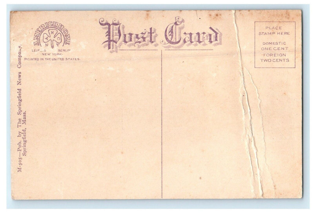 c1910 A Corner Of The Deer Preservers Springfield Massachusetts MA Postcard