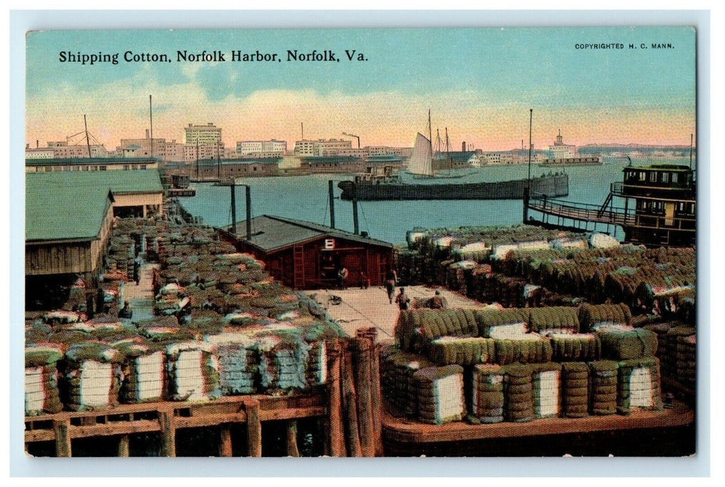 1912 Shipping Cotton, Norfolk Harbor, Norfolk, Virginia VA Postcard