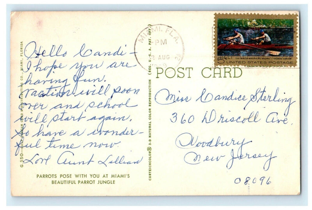 1908 Parrots Pose With You At Miami's Beautiful Parrot Jungle Florida Postcard