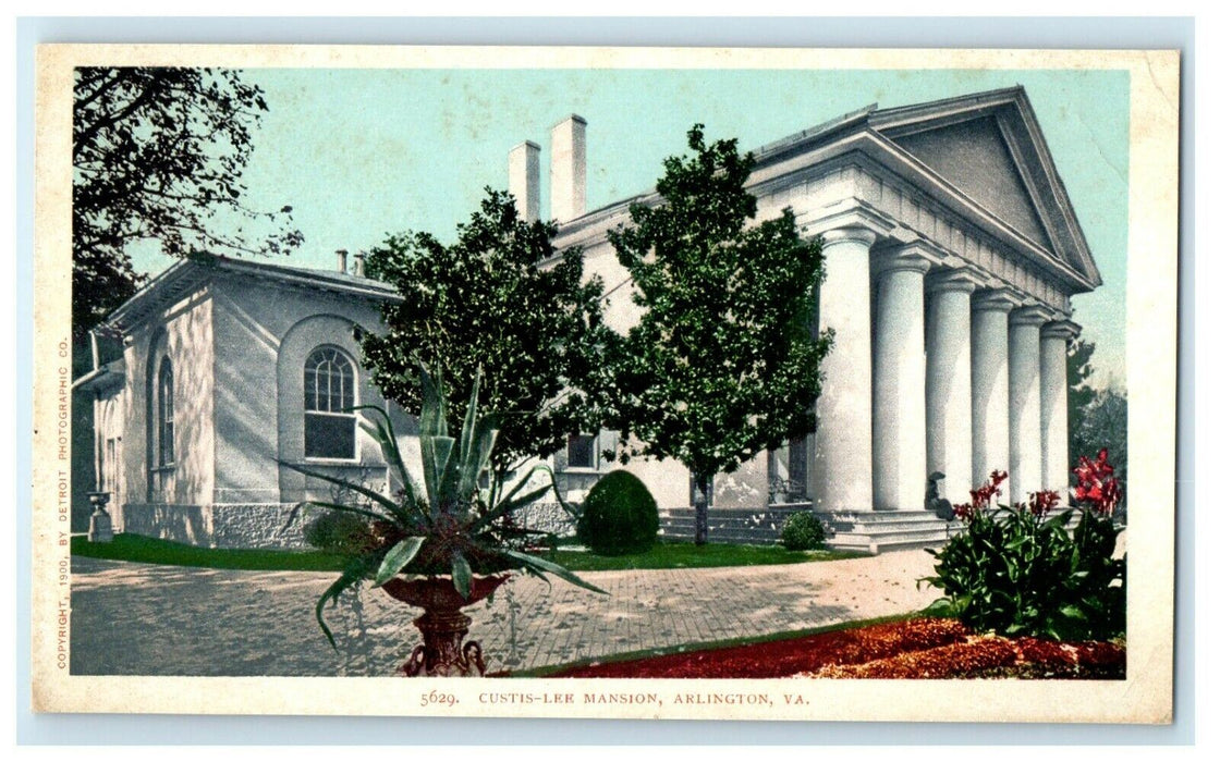 1905 Scene of Trees in Custis-Lee Mansion, Arlington Virginia VA Postcard