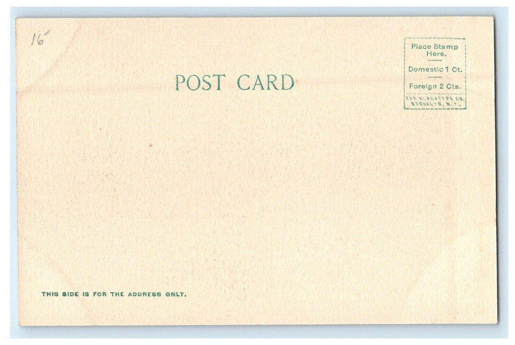 1906 Chicopee Falls And Dam Buildings View Massachusetts MA Antique Postcard