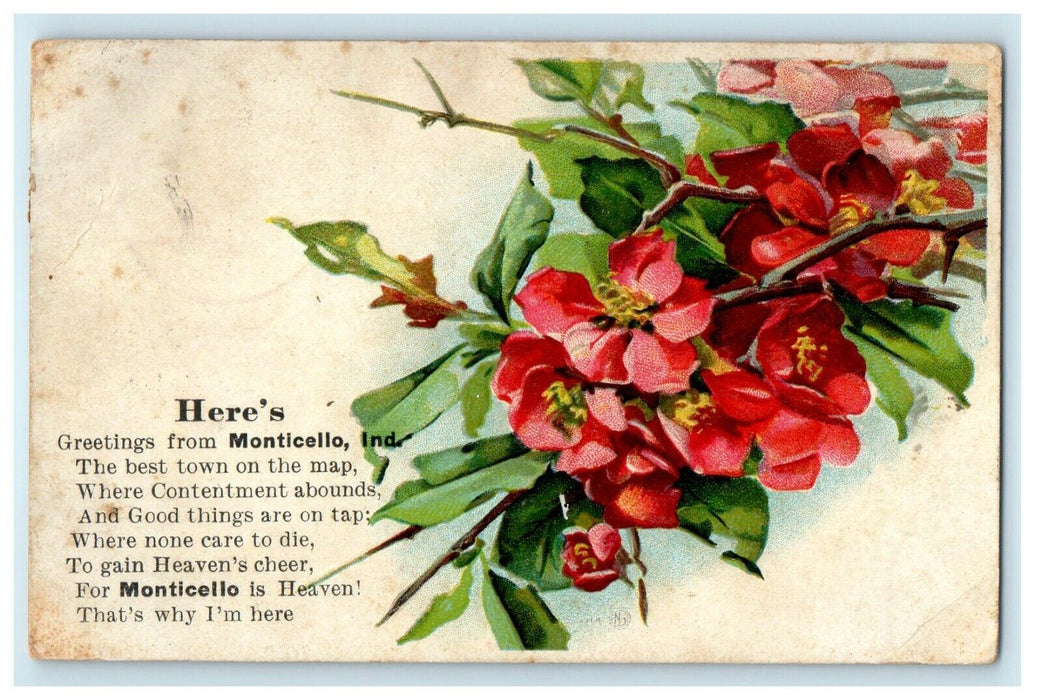 1911 Flower Printed, Greetings from Monticello, Indiana IN Antique Postcard