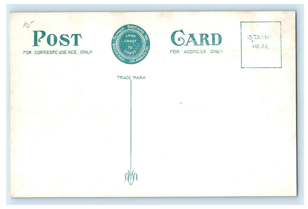 1913 Diving on Pontoosuc Pond, Pittsfield Massachusetts MA Antique Postcard