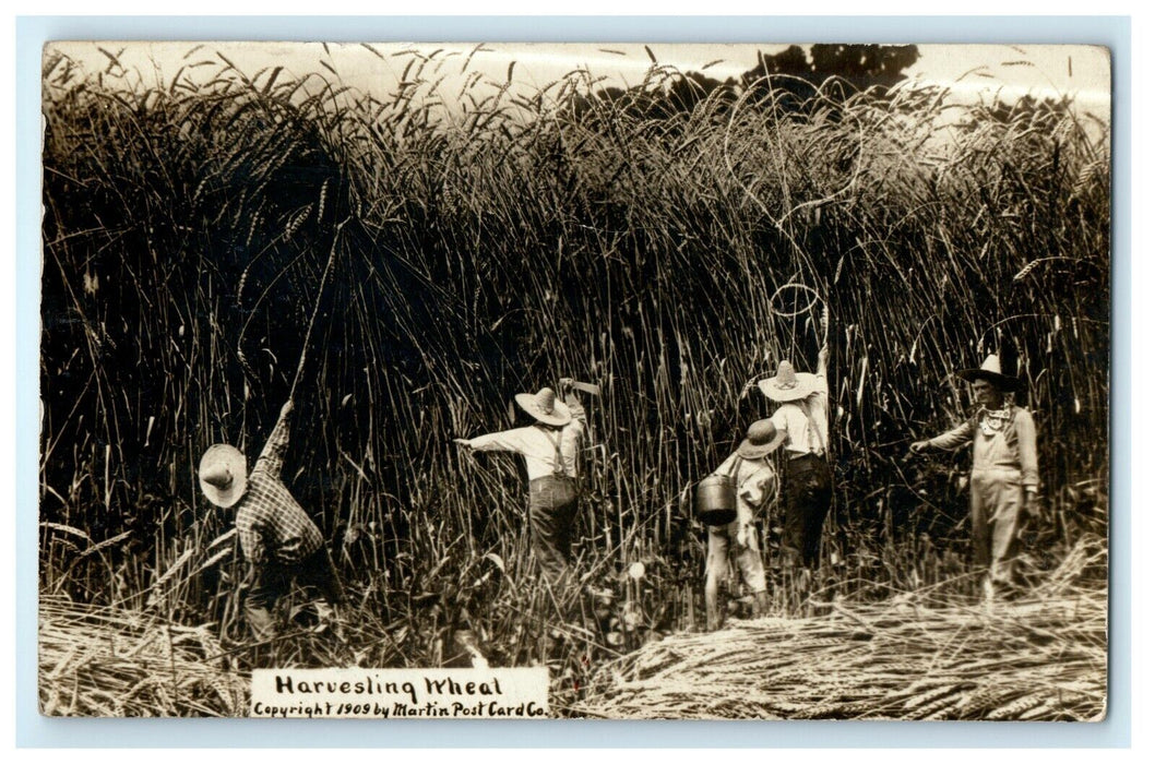 c1910 Exaggeration Harvesting Wheat Farming Kansas City KS  RPPC Photo Postcard