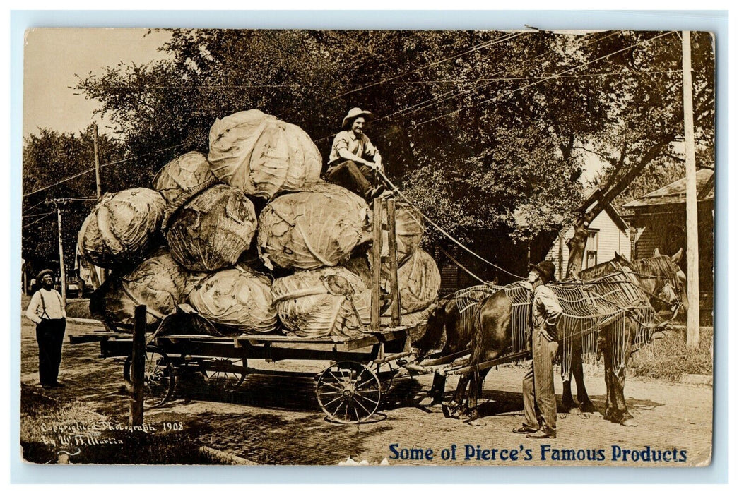1910 Exaggerated Horse Wagon Giant Cabbage Pierce Colorado RPPC Photo Postcard