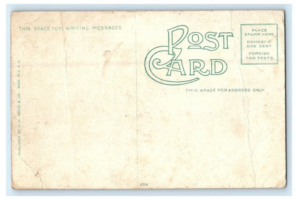 1908 View of North Palafox Street, Pensacola Florida FL Antique Postcard