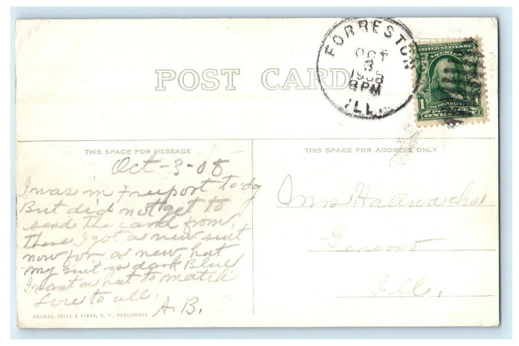 1908 Court House and Memorial, Freeport Illinois IL Antique Postcard