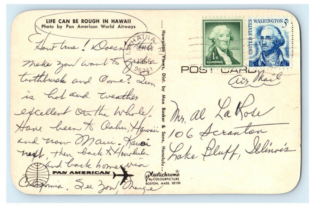 1966 "Life Can Be Rough In Hawaii" Pan American Vintage Postcard