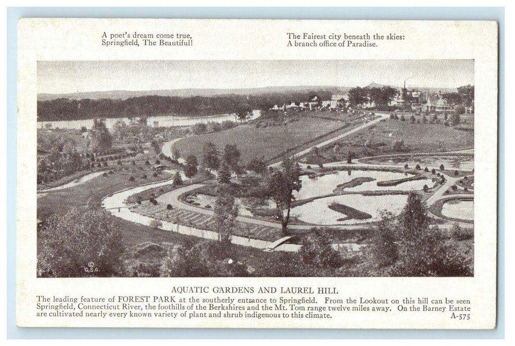 c1910s Aquatic Gardens and Laurel Hill Springfield Massachusetts MA Postcard