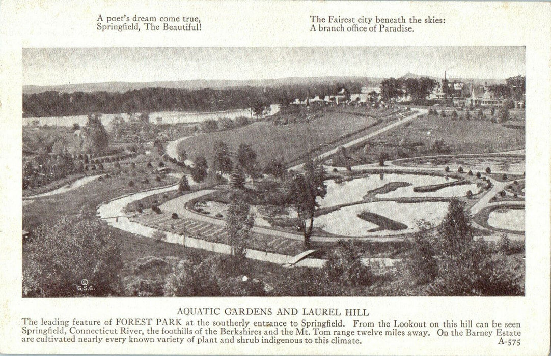 c1910s Aquatic Gardens and Laurel Hill Springfield Massachusetts MA Postcard