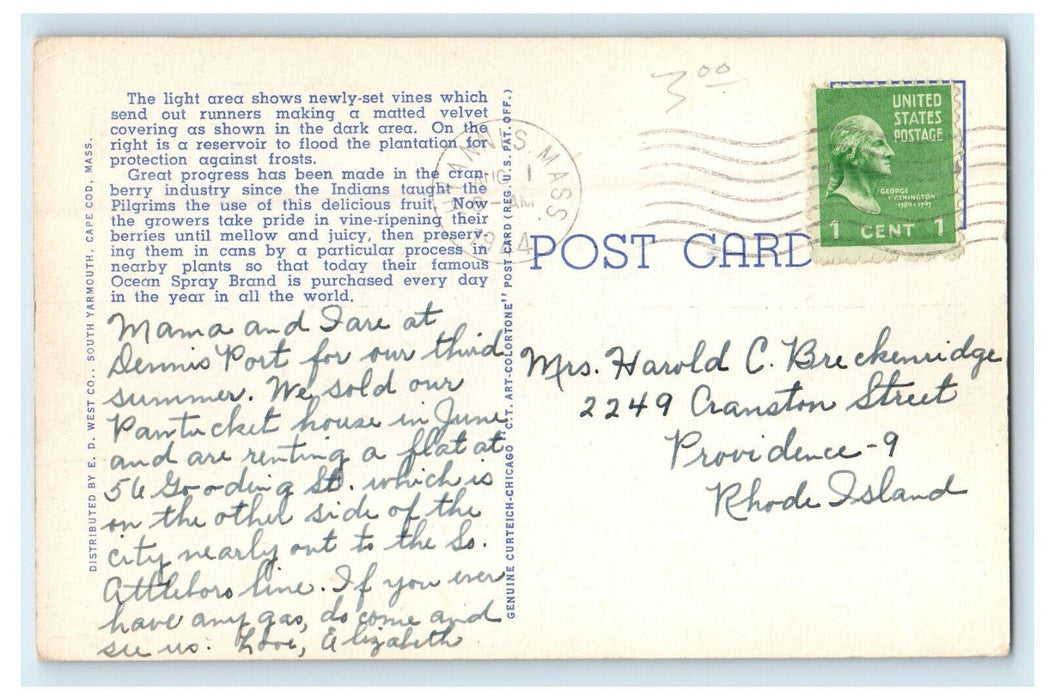 1944 A Cape Cod Cranberry Plantation, Massachusetts MA Vintage Posted Postcard