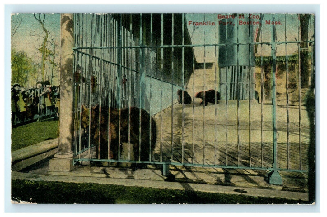 Franklin Park Bears At Zoo Boston Massachusetts MA Unposted Postcard