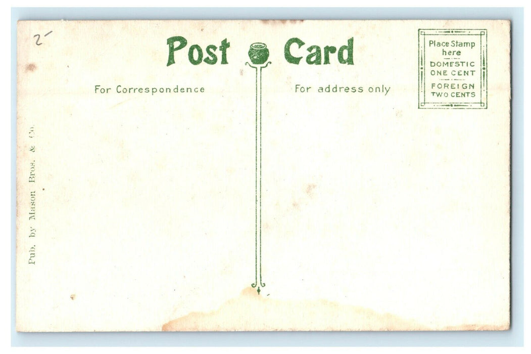 Franklin Park Bears At Zoo Boston Massachusetts MA Unposted Postcard