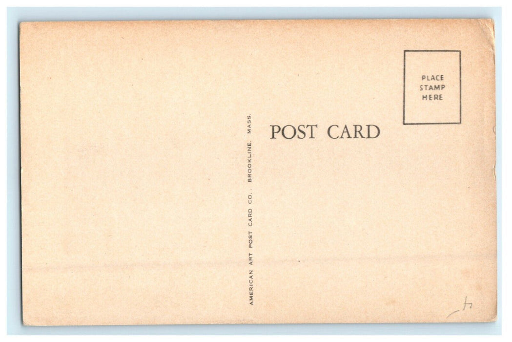 c1910 Harvard Church Street View Brookline Massachusetts MA Antique Postcard