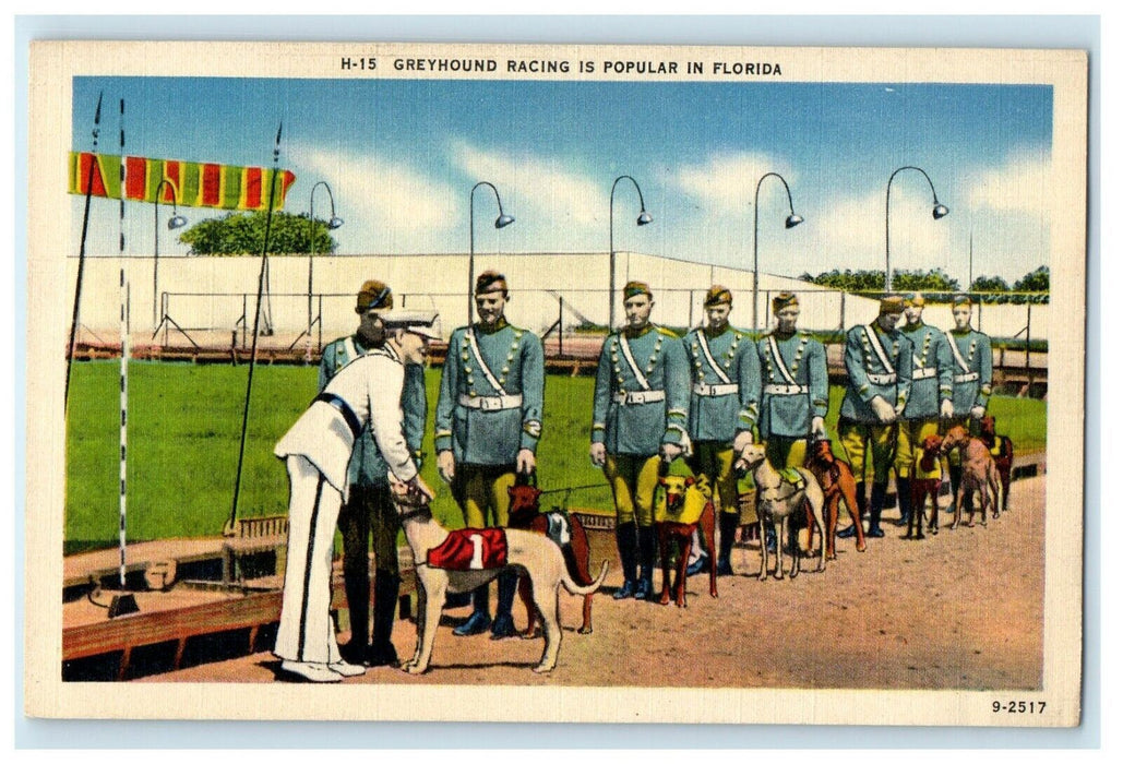 c1940's Greyhound Dog Racing Is Popular In Florida FL Antique Postcard