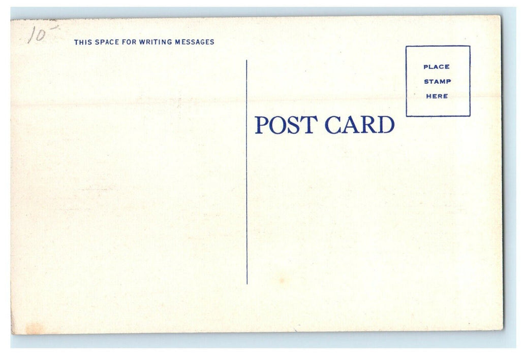 c1940's Greyhound Dog Racing Is Popular In Florida FL Antique Postcard