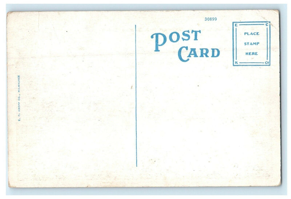 c1910 Duck Pond Sunken Gardens Sinnissippi Park Rockford Illinois IL Postcard