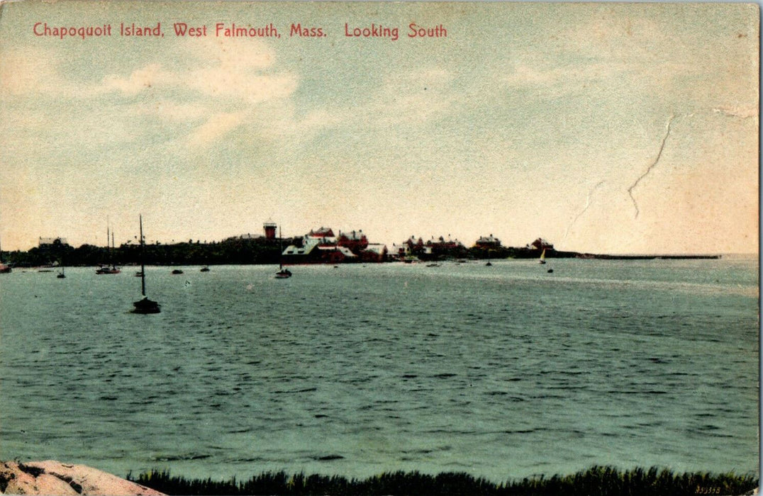 1909 Chapoquolt, West Falmouth, Massachusetts MA Looking South Antique Postcard