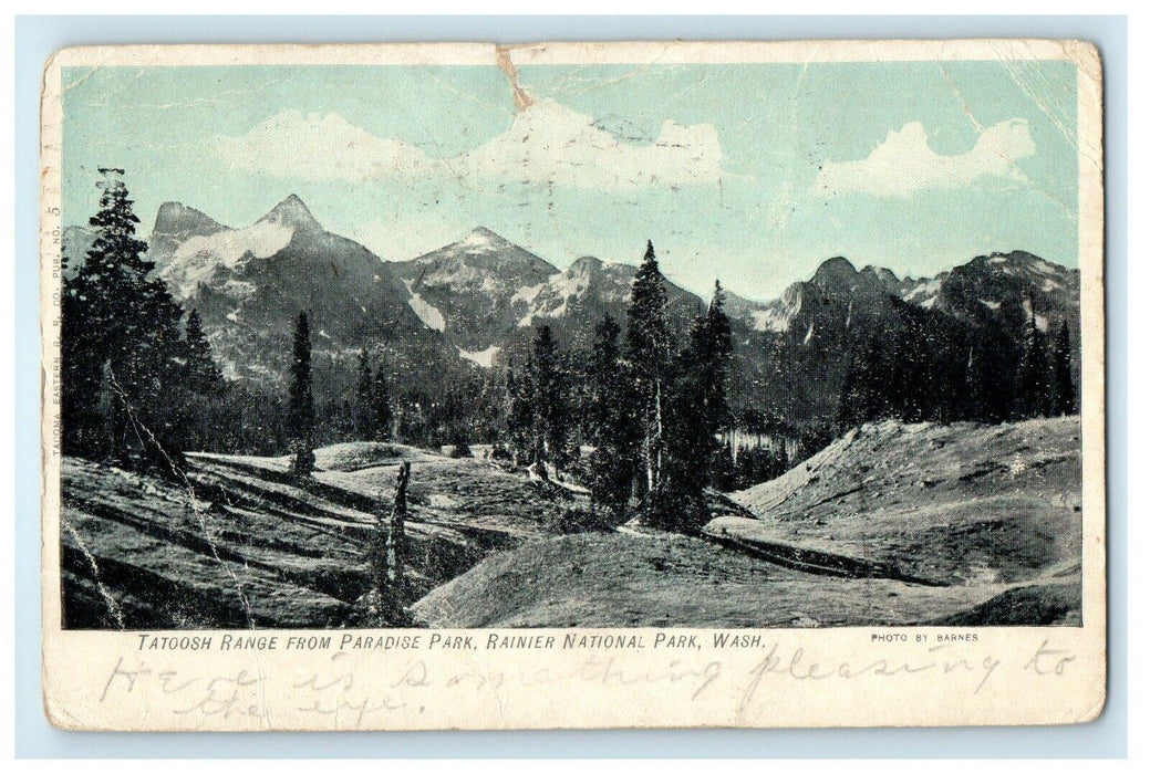 1908 Paradise Park, Rainier National Park Washington WA Postcard
