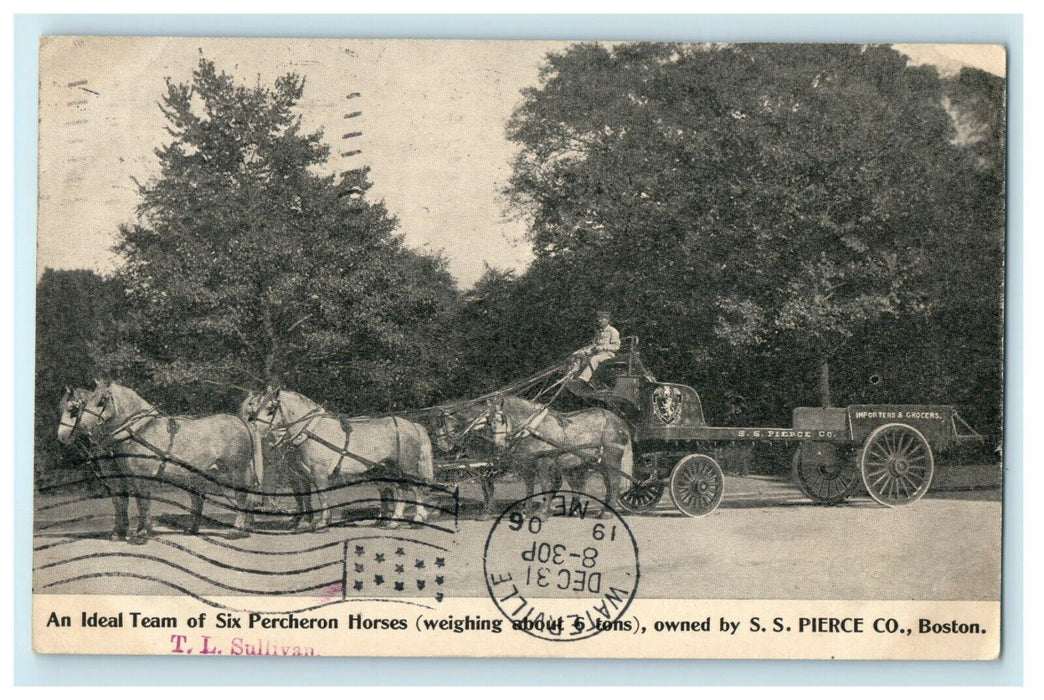 1906 An Ideal Of Six Percheron Horses Boston Massachusetts MA Antique Postcard