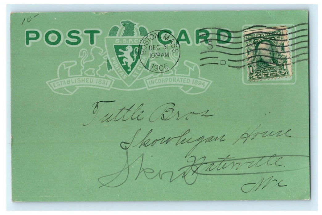 1906 An Ideal Of Six Percheron Horses Boston Massachusetts MA Antique Postcard
