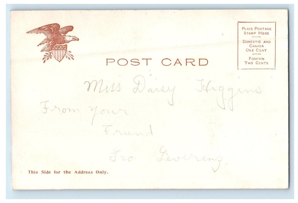 c1905 Public Library, Michigan Ave. Chicago IL Illustrated Postcard Co. Postcard