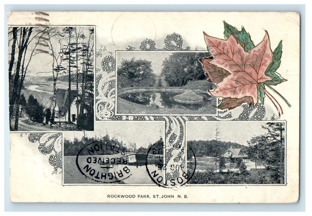 1903 Multiview Rockwood Park St. John New Brunswick Canada Foreign Postcard