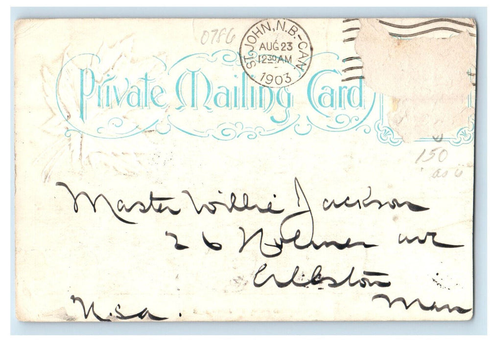1903 Multiview Rockwood Park St. John New Brunswick Canada Foreign Postcard