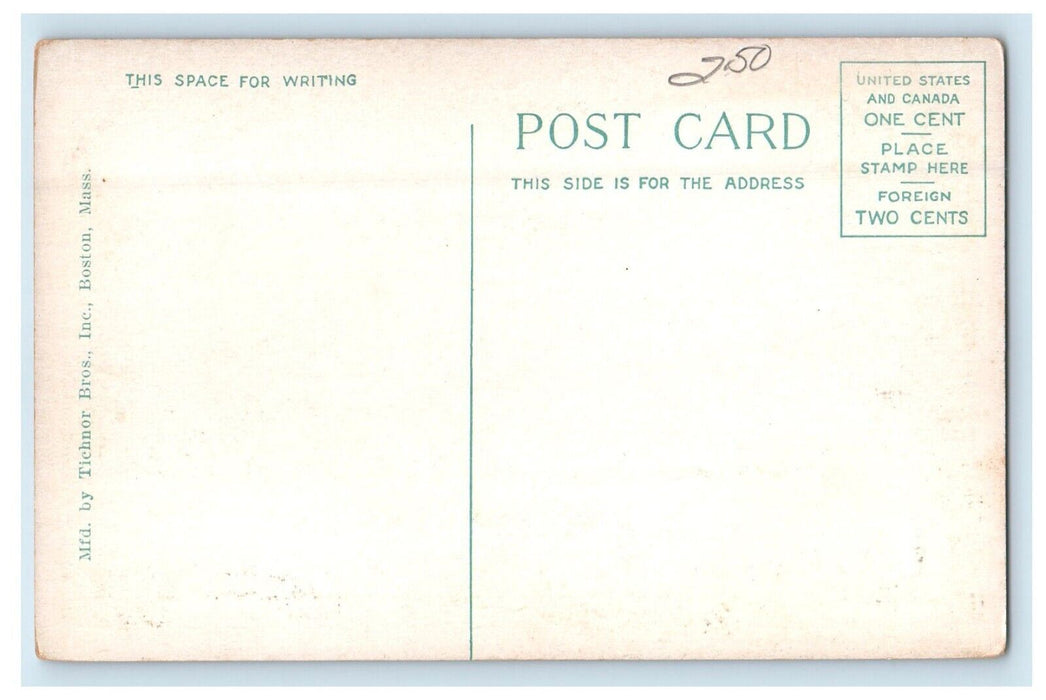 Public Library Building Street View Horse Carriage Portland Maine ME Postcard