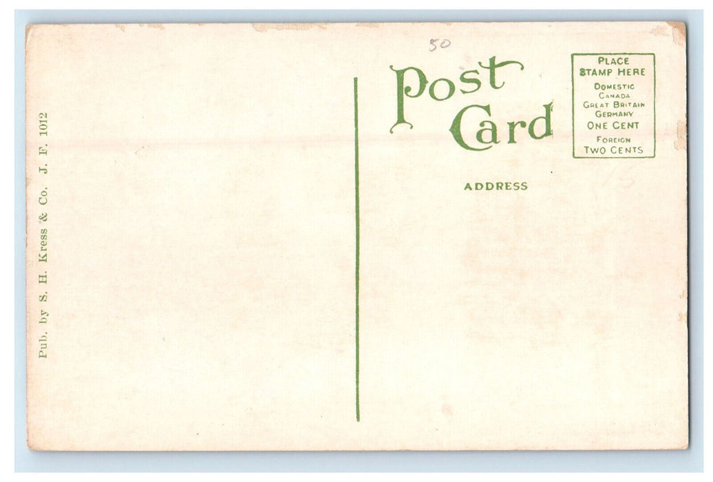 c1910 Public Library, Jacksonville Florida FL SH Kress & Co Unposted Postcard