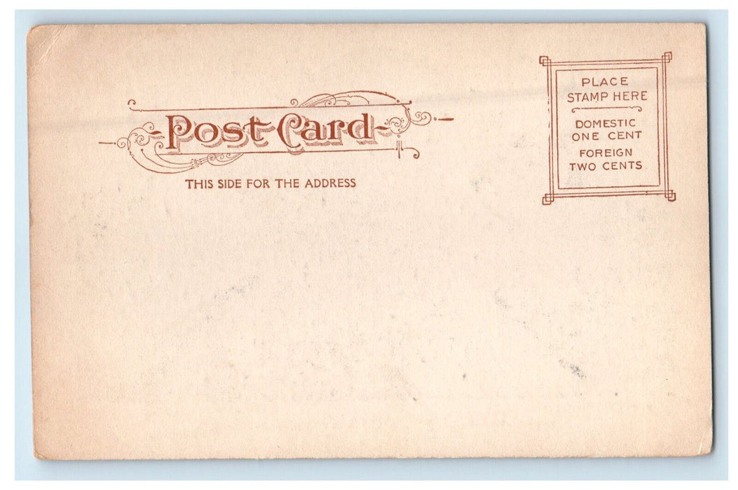 c1905 Columbia University Library New York NY Unposted Antique Postcard