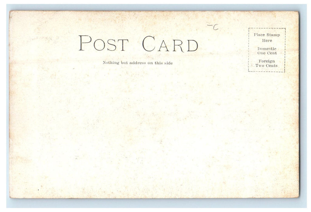 c1905 Public Library Chicago Illinois IL Unposted Antique Postcard
